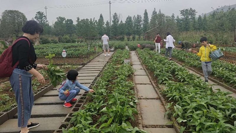 进口农产品批发清关流程全解析
