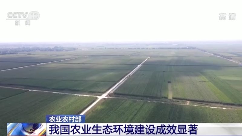 绘制农资价格行情走势图，掌握市场动态的秘诀