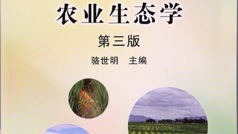 播种机与移栽机：两种机械的型号差异解析