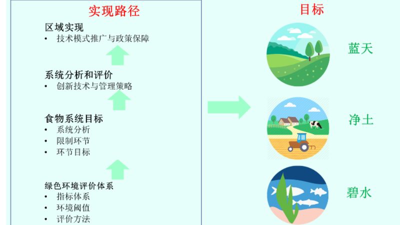 有机蔬菜配送上门对比评测