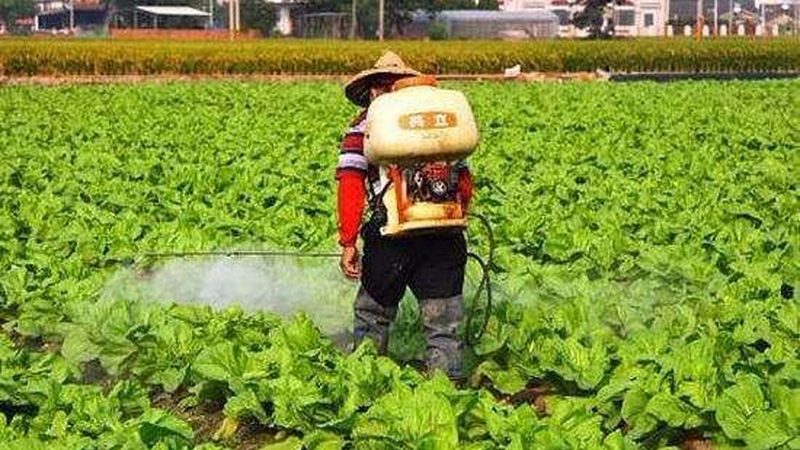 广州家庭农场价格对比：成本效益与市场趋势